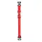 Yami-Yami амуниция ошейник цветной, плотный капрон для собак, зеленый #8